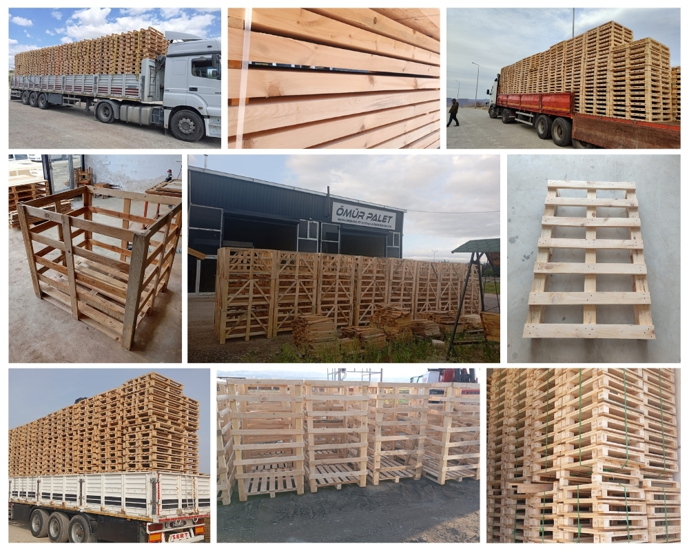 Westzaan Houten Kisten, Europallets Groothandel Kopen
